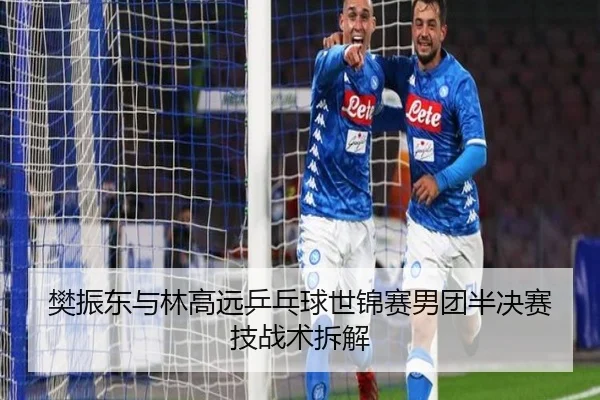 樊振东与林高远乒乓球世锦赛男团半决赛技战术拆解