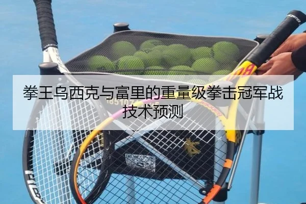 拳王乌西克与富里的重量级拳击冠军战技术预测 | haixing